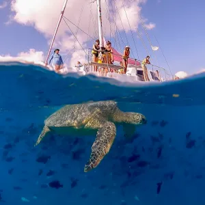 a group of people riding skis on a body of water