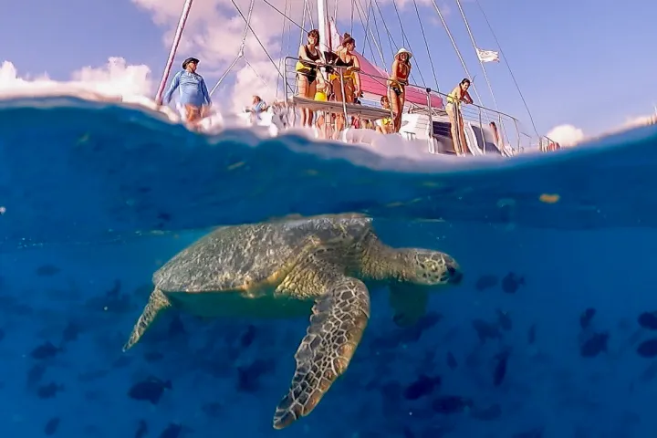 a group of people riding skis on a body of water
