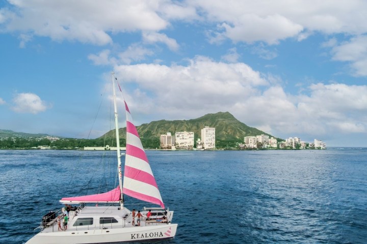 Kealoha Sailing Catamaran by Pink Sa