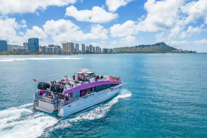 Wahine Koa Sailing Toward Diamond Head on Pink Sails