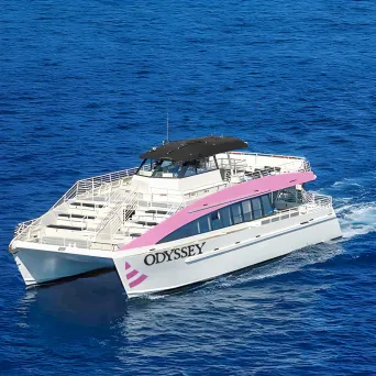 Odyssey by Pink Sails Waikiki on Oahu