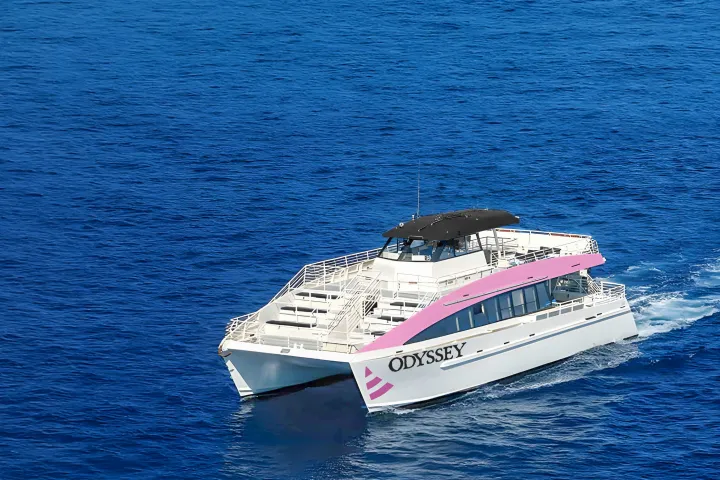 Odyssey Catamaran by Pink Sails Waikiki