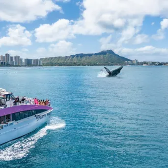 a boat traveling across a large body of water