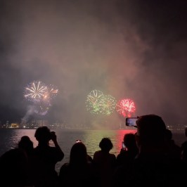 Silhouetted crowd watches colorful fireworks over water at night.