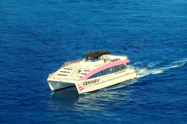 A white catamaran named 'Odyssey' with pink accents sailing on blue water.