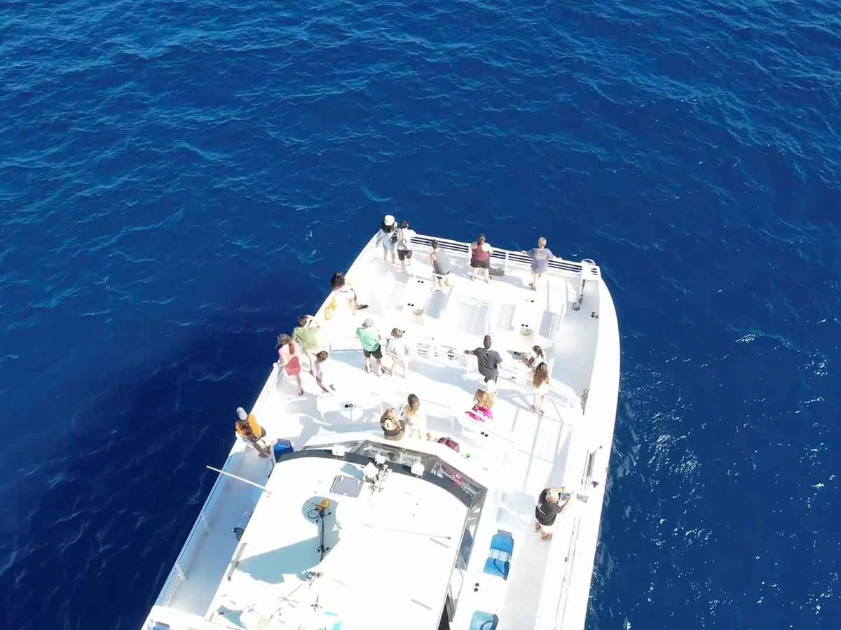 Aerial view of people on a large boat in the ocean.