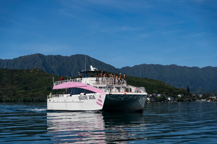 Catamaran on water with mountains in background, people on deck, clear blue sky.