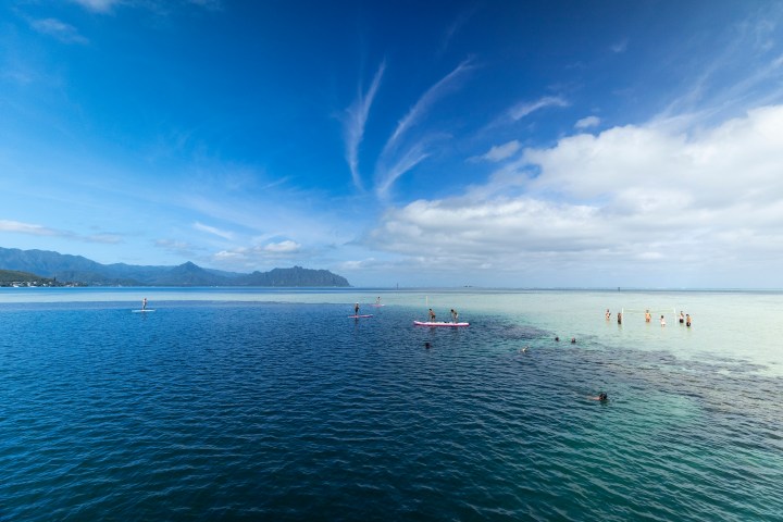 People paddleboarding and standing in clear blue ocean against a mountain backdrop.
