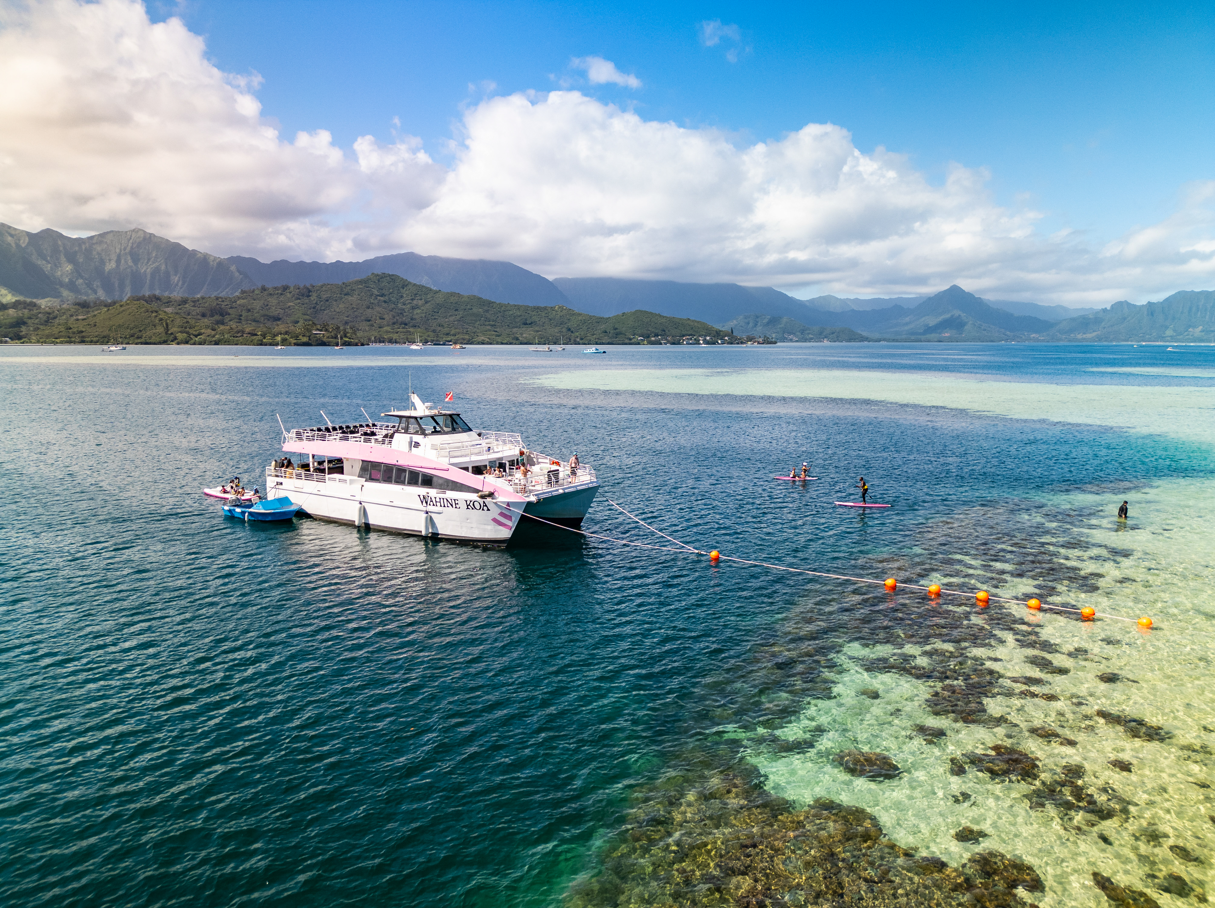 海のOH!YAH!トローリングガイド Kaneohe Bay Sandbar Splash and Snorkeling Boat Tour | Pink Sails