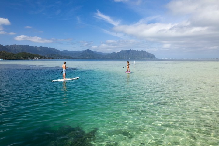 Kaneohe Bay Sandbar Splash and Snorkeling