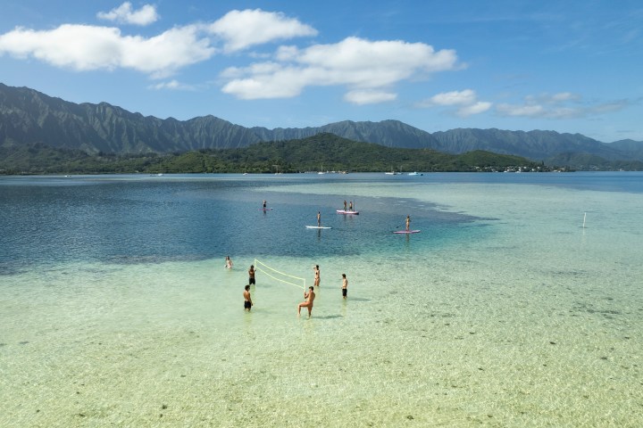 People in shallow ocean water, some playing volleyball, others paddleboarding, with mountains in the backdrop.