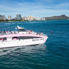 White and pink ferry on ocean with city skyline and mountain in background.